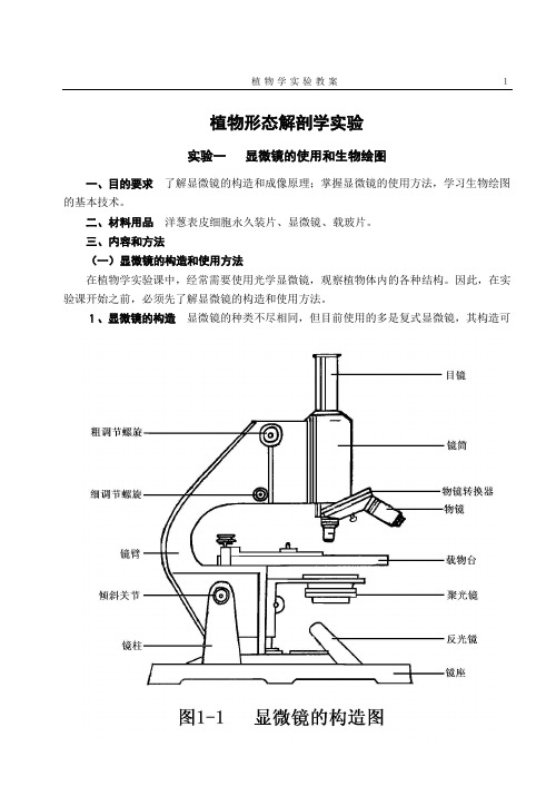 植物学实验指导