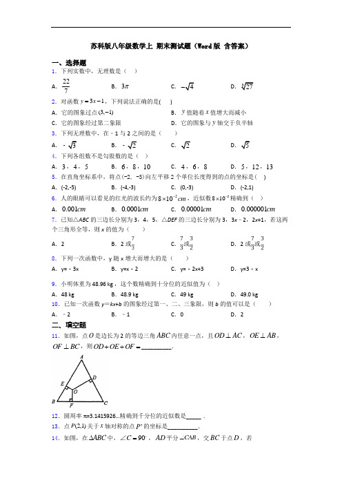 苏科版八年级数学上 期末测试题(Word版 含答案)