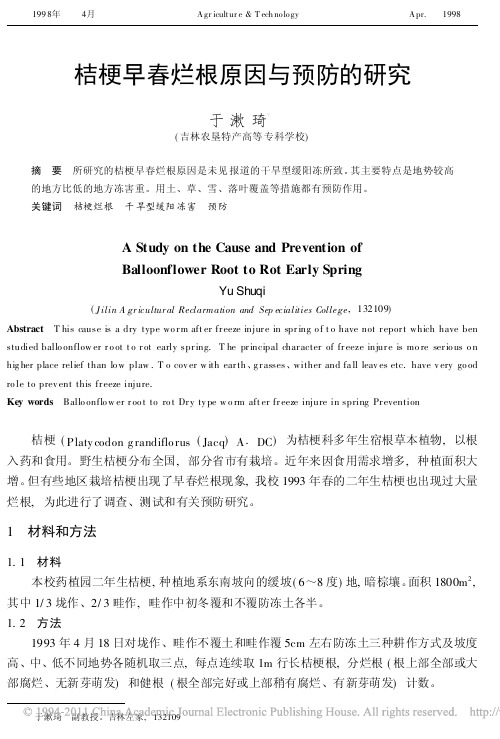 桔梗早春烂根原因与预防的研究