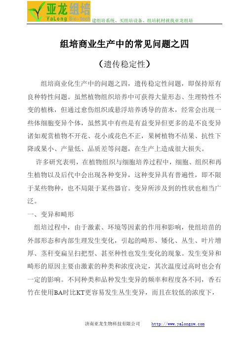 亚龙组培分享组培商业生产中的常见问题之四 (遗传稳定性)