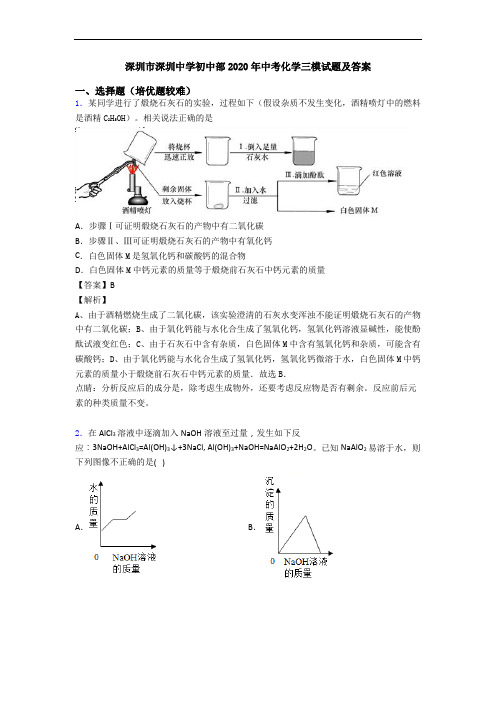 深圳市深圳中学初中部2020年中考化学三模试题及答案