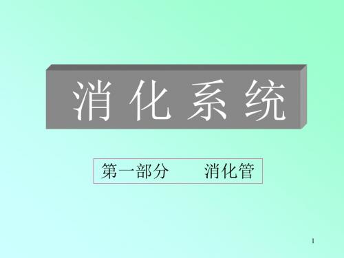 消化系统02 PPT课件