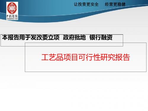 工艺品项目可行性研究报告-文档资料