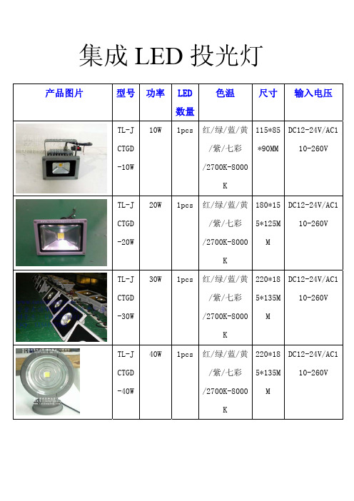 10W-30W-50W-100W集成芯片光源大功率LED投光灯款式大全