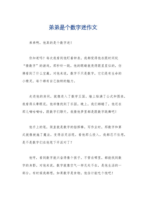 弟弟是个数字迷作文