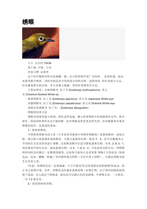 绣眼