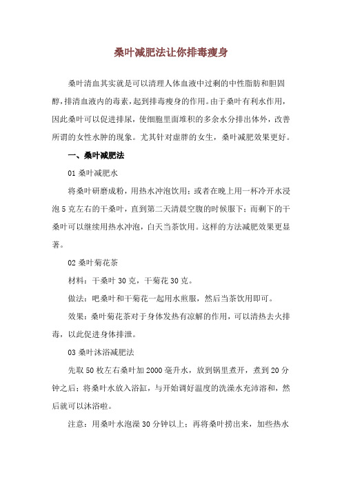 桑叶减肥法 让你排毒瘦身