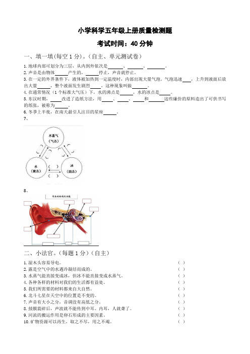 人教五年级科学试题附答案