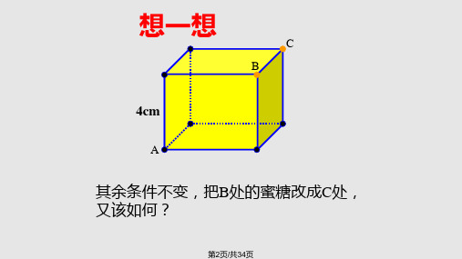 长方体和正方体展开图.pptx