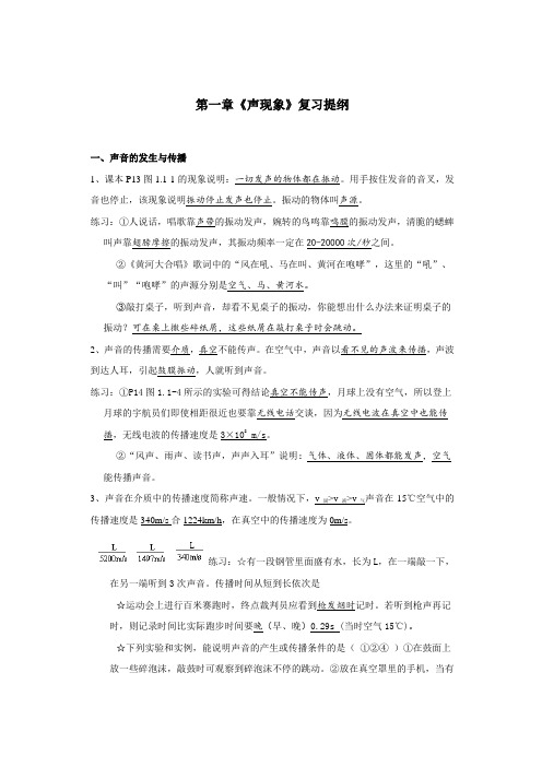 新课标初中物理总复习第一章《声现象》