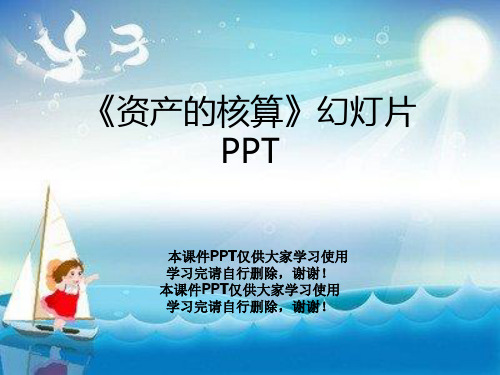 《资产的核算》幻灯片PPT