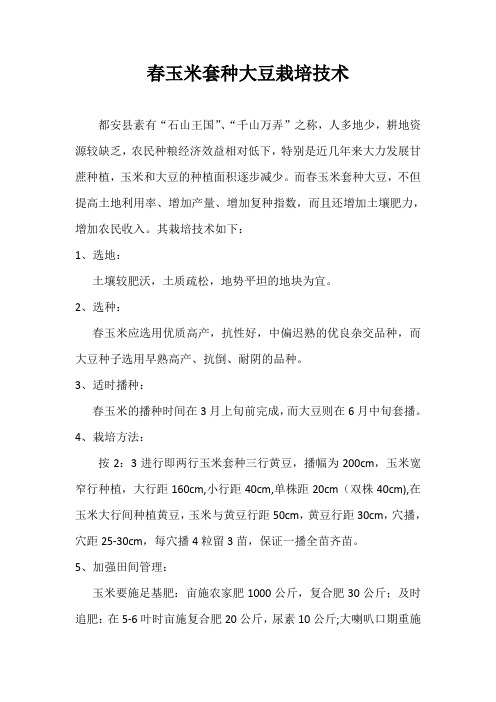 春玉米套种大豆栽培技术
