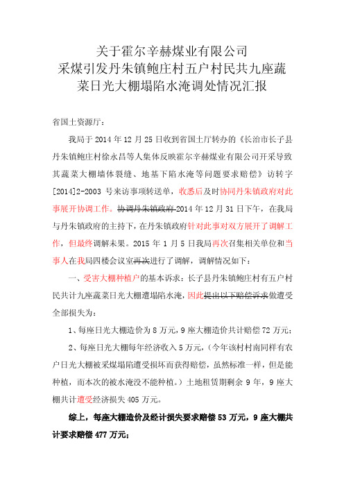 改关于霍尔辛赫煤业有限公司