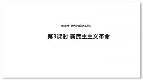 人民版高中历史必修1课件 新民主主义革命课件