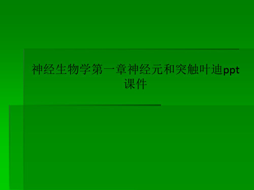 神经生物学第一章神经元和突触叶迪ppt课件