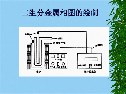 二组分金属相图的绘制(共7张PPT)