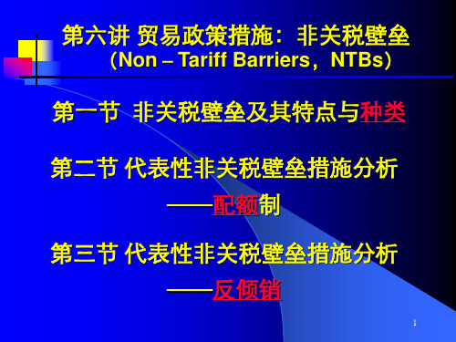 第六讲贸易政策措施：非关税壁垒