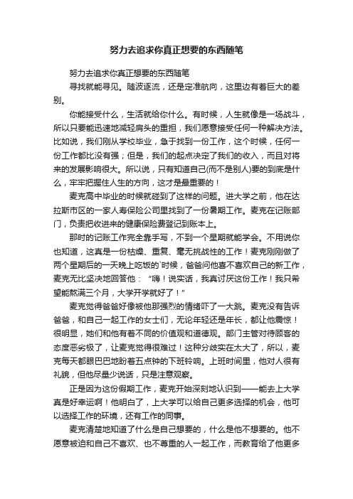 努力去追求你真正想要的东西随笔