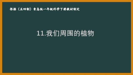 2021五四制新青岛版一年级科学下册第四单元《土壤与动植物》全部课件(共4课时)