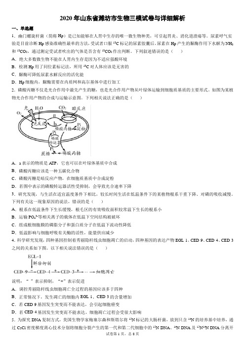 2020年山东省潍坊市生物三模试卷与详细解析