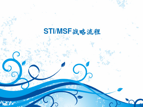 STIMSF战略流程