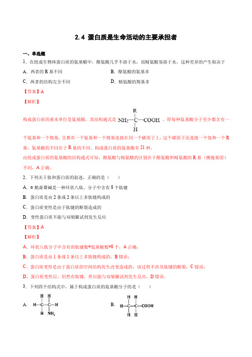 24 蛋白质是生命活动的主要承担者(习题精练)-2023学年高一生物名师课件精讲+习题精练(解析版)