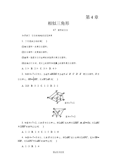 浙教版九年级数学上册同步练习:4.7 图形的位似