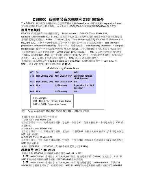 DS8000 系列型号命名规则和DS8100简介