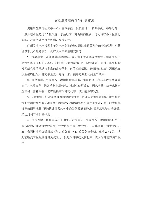 高温季节泥鳅保健注意事项