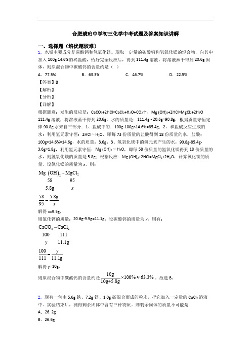 合肥琥珀中学初三化学中考试题及答案知识讲解