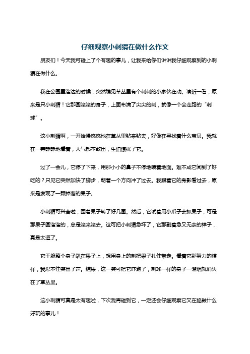 仔细观察小刺猬在做什么作文