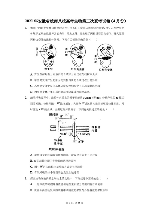 2021年安徽省皖南八校高考生物第三次联考试卷(附答案详解)