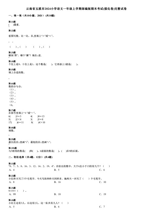 云南省玉溪市2024小学数学一年级上学期部编版期末考试(强化卷)完整试卷