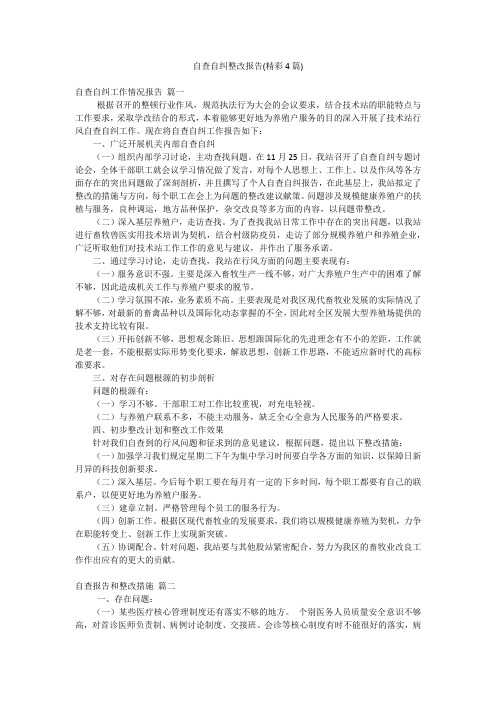 自查自纠整改报告(精彩4篇)