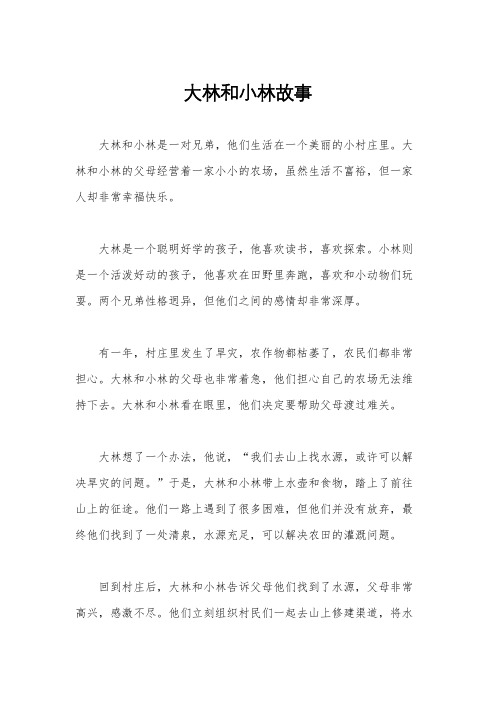 大林和小林故事