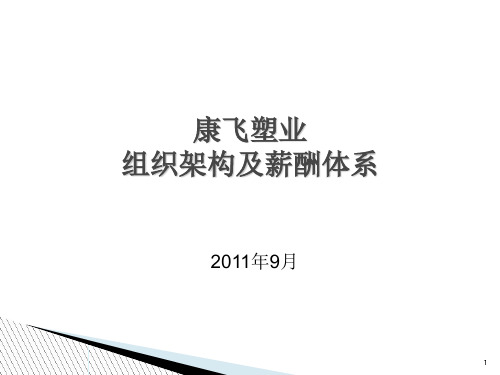 人员配置及薪酬体系