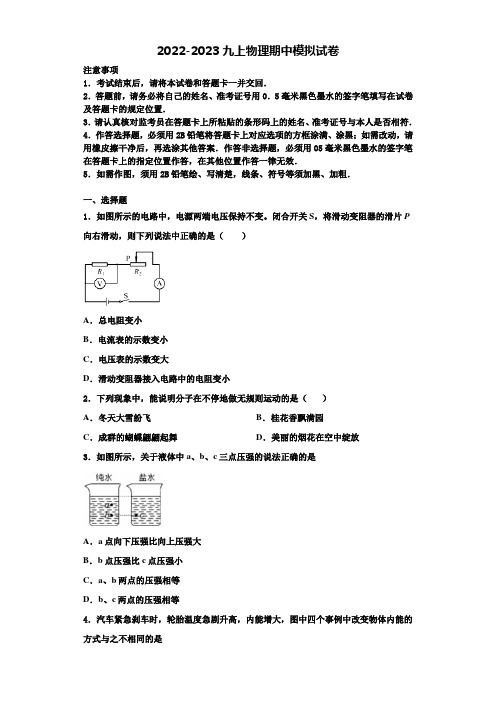 2022-2023学年安徽省合肥市46中学物理九年级第一学期期中学业水平测试试题含解析