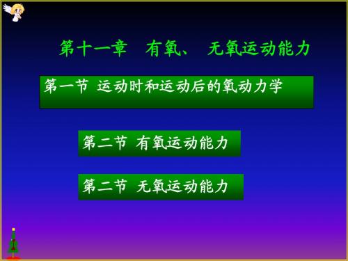 11章有氧和无氧运动能力