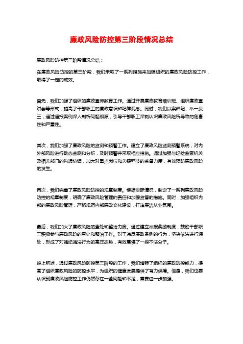 廉政风险防控第三阶段情况总结 (2)