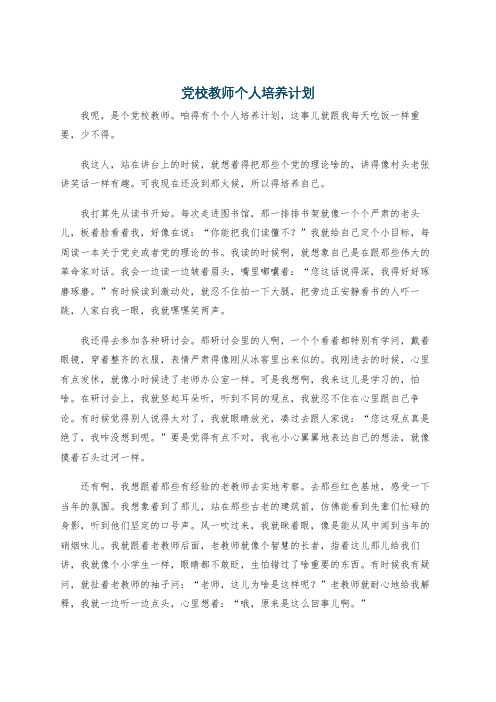 党校教师个人培养计划