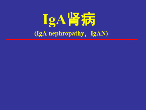 内科学PPT课件 IgA肾病 原发性肾小球疾病 泌尿系统疾病