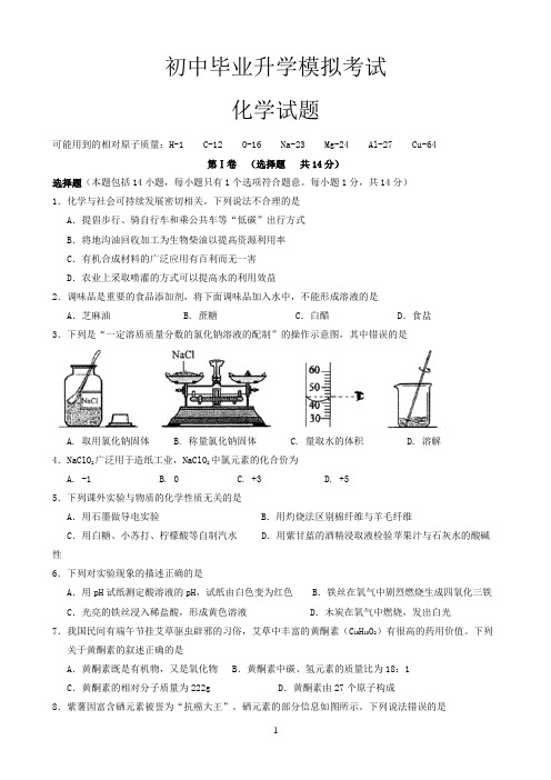 初三 初中毕业升学模拟考试 化学 试卷