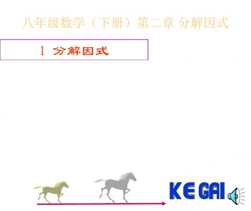 初二数学分解因式1[人教版]