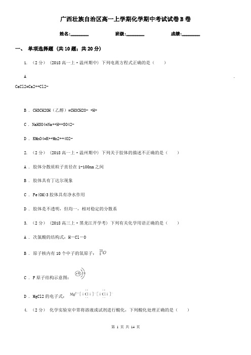 广西壮族自治区高一上学期化学期中考试试卷B卷