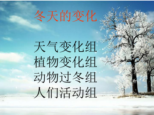冬天到了ppt课件