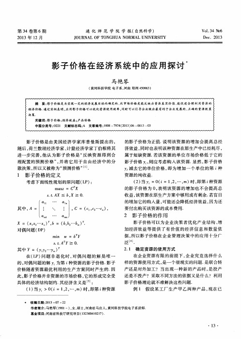 影子价格在经济系统中的应用探讨