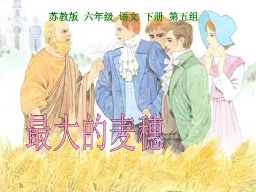 (苏教版) 六年级下册语文《最大的麦穗》课件PPT