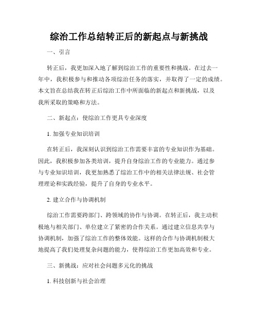 综治工作总结转正后的新起点与新挑战