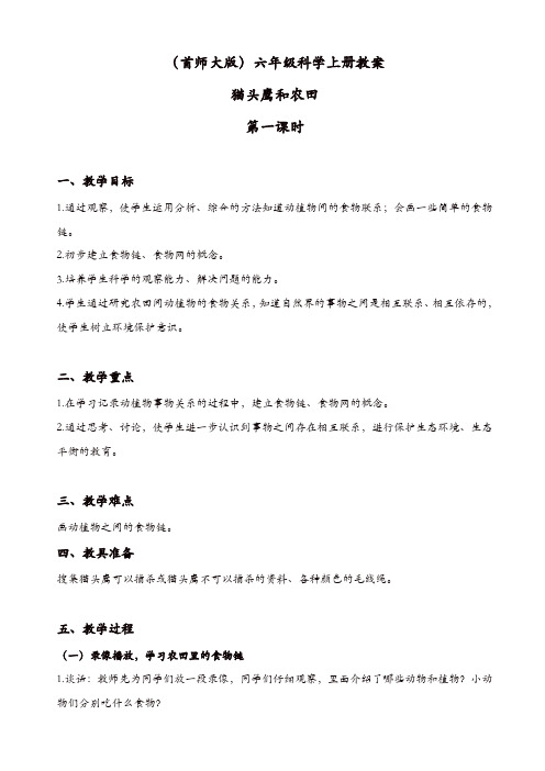 首师大版小学六年级科学上册：《6.猫头鹰与农田》教案(1)【精品】