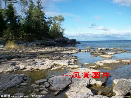 七年级下美术课件